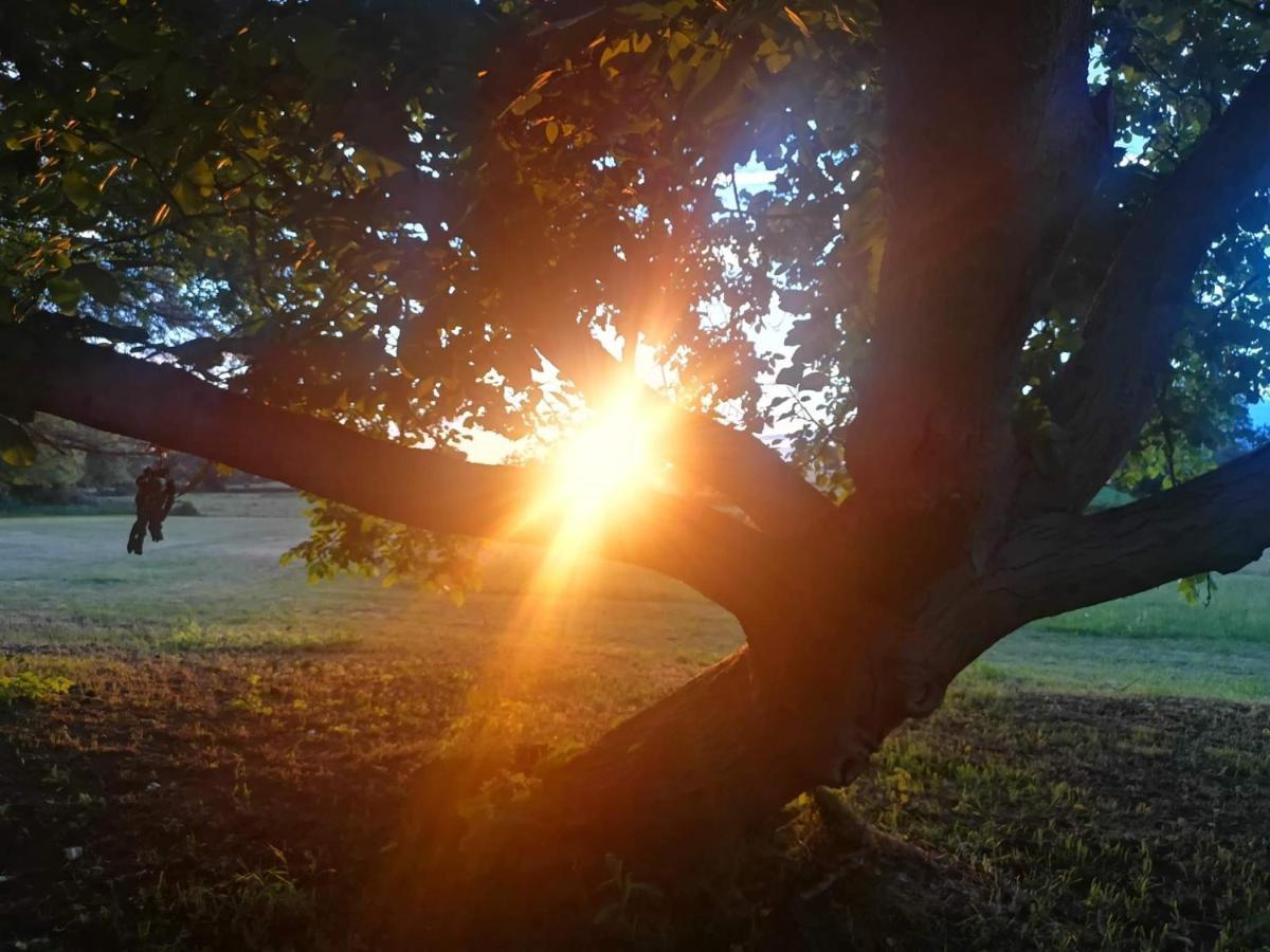 Notre Village Papillon Bed&Breakfast Neret Esterno foto