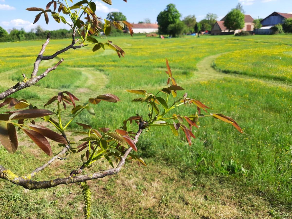 Notre Village Papillon Bed&Breakfast Neret Esterno foto